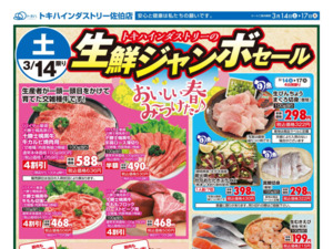 3/14（土）-17（火）のチラシ画像