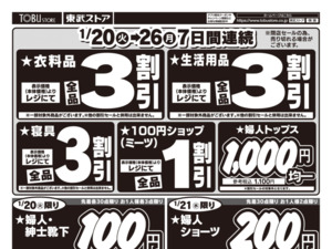 閉店売りつくし第3弾のチラシ画像