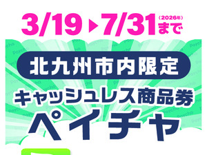 Paychaのご案内のチラシ画像