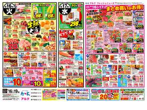 本日の特売情報のチラシ画像
