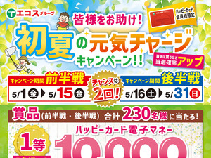 5月初夏の元気チャージキャンペーンのチラシ画像