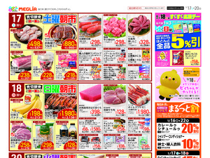 チラシのご案内のチラシ画像