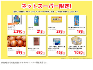 ネットスーパーだけの特別価格品!のチラシ画像