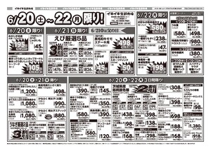 お買い得チラシ6月20日~6月22日のチラシ画像