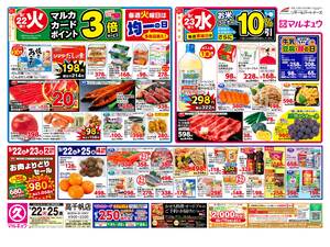 本日の特売情報のチラシ画像
