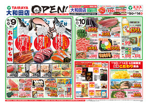6月9日号大和田店オープン6弾：表のチラシ画像