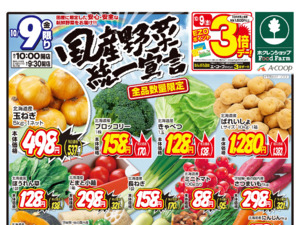 国産野菜統一宣言のチラシ画像