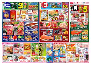 本日の特売情報のチラシ画像
