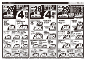 馬橋店リニューアルオープン協賛セールのチラシ画像