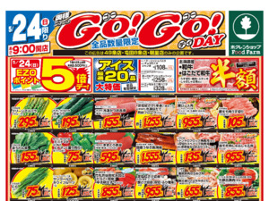 ＷＧＯＧＯdayのチラシ画像
