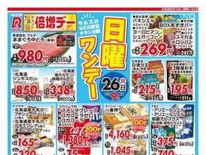 0426 Web日曜ワンデーのチラシ画像