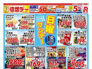1101 Web日曜ワンデー のチラシ画像
