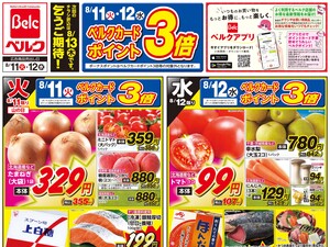 8/11号のチラシ画像