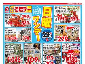 0823 Web日曜ワンデーのチラシ画像