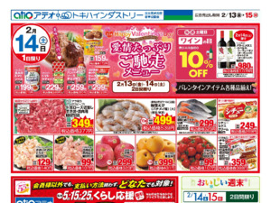 2/13（金）-15（日）のチラシ画像