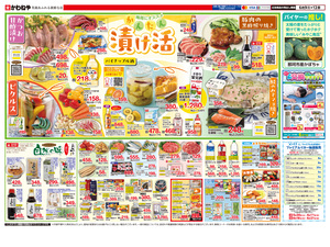 6月9日裏のチラシ画像