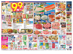 6/9㊋～6/12㊎のチラシ画像