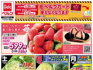 1/17号のチラシ画像