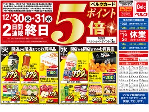 12/30号のチラシ画像