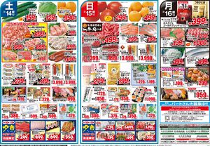 0314号春の洋風メニューのチラシ画像