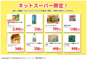 ネットスーパーだけの特別価格品!のチラシ画像