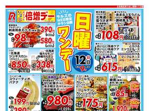 0412 Web日曜ワンデーのチラシ画像