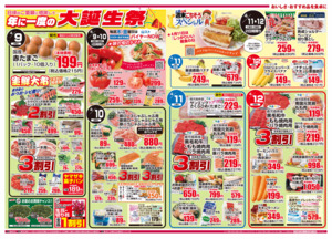 黄札特別割引セール&大誕生祭のチラシ画像