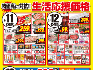 0311～0313生活応援価格のチラシ画像