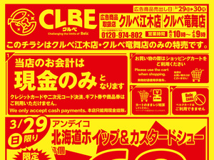 3月強化チラシ5弾のチラシ画像