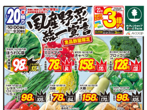 国産野菜統一宣言のチラシ画像