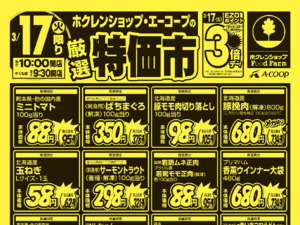 厳選特価市のチラシ画像
