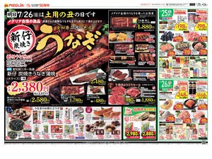 チラシのご案内のチラシ画像