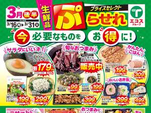 3月後半　生鮮品プラセレのチラシ画像