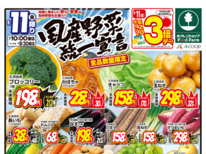 国産野菜統一宣言のチラシ画像