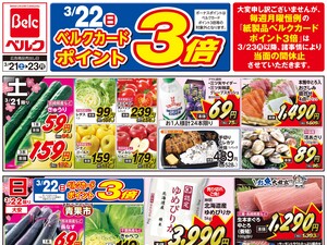 3/21号のチラシ画像