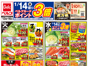 1/13号のチラシ画像