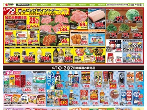 お買い得チラシ6月1日~6月2日のチラシ画像