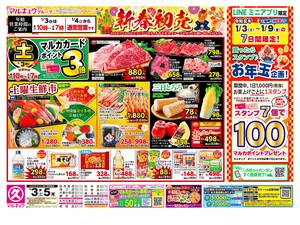 本日の特売情報のチラシ画像