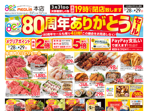 チラシのご案内のチラシ画像