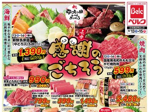 ベルマーレ（フジタ）　チラシ、ウチワ ベルマーレ（フジタ） チラシ、ウチワ - メルカリ