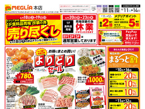 チラシのご案内のチラシ画像