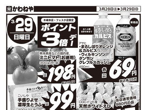 3/28　裏のチラシ画像