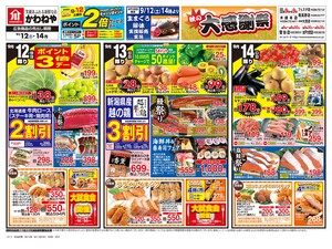 ９月１２日裏のチラシ画像