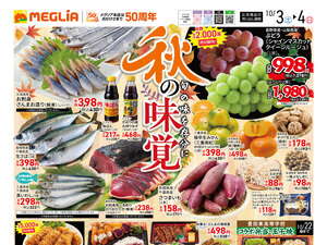 チラシのご案内のチラシ画像
