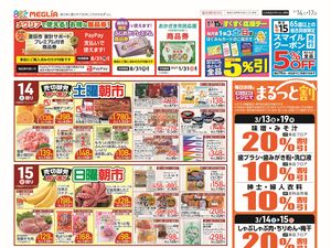 チラシのご案内のチラシ画像