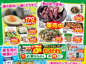 3月後半ぷらせれのチラシ画像