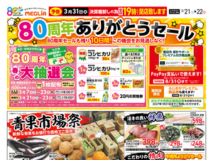 チラシのご案内のチラシ画像