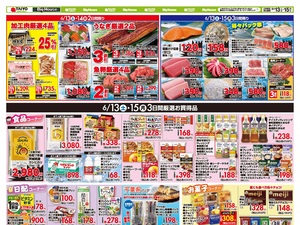  お買い得チラシ6月13日~6月15日のチラシ画像
