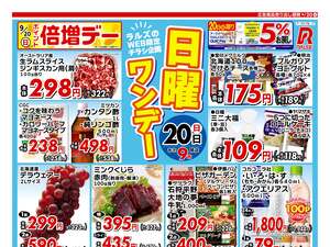 0920 Web日曜ワンデー のチラシ画像