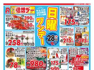 0628 Web日曜ワンデーのチラシ画像